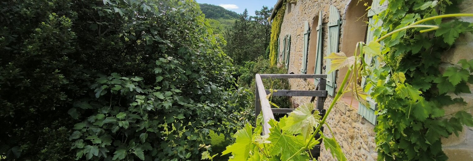 Maison 12 Pièces 308 m² à vendre à Plavilla (11270)