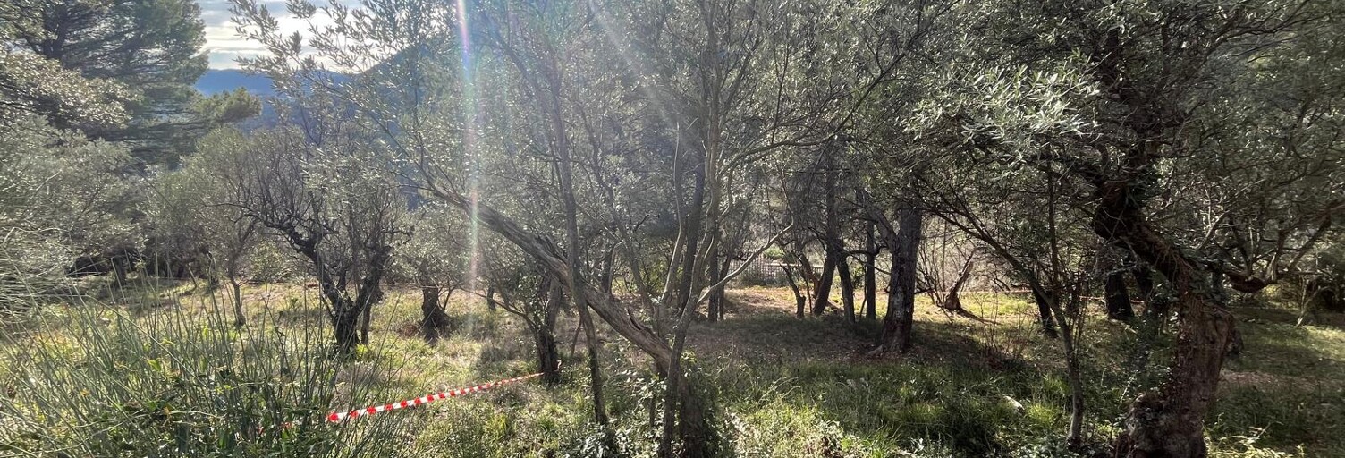 Terrain  1500 m² à vendre à Bargemon (83830)