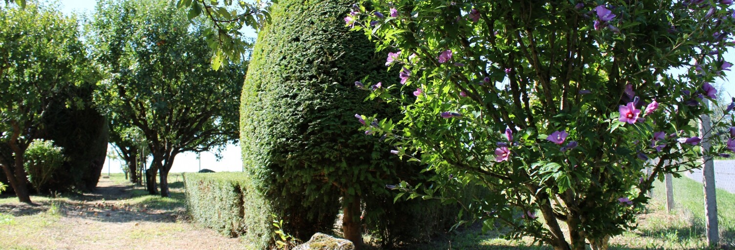 Terrain  1933 m² à vendre à Pontlevoy (41400)