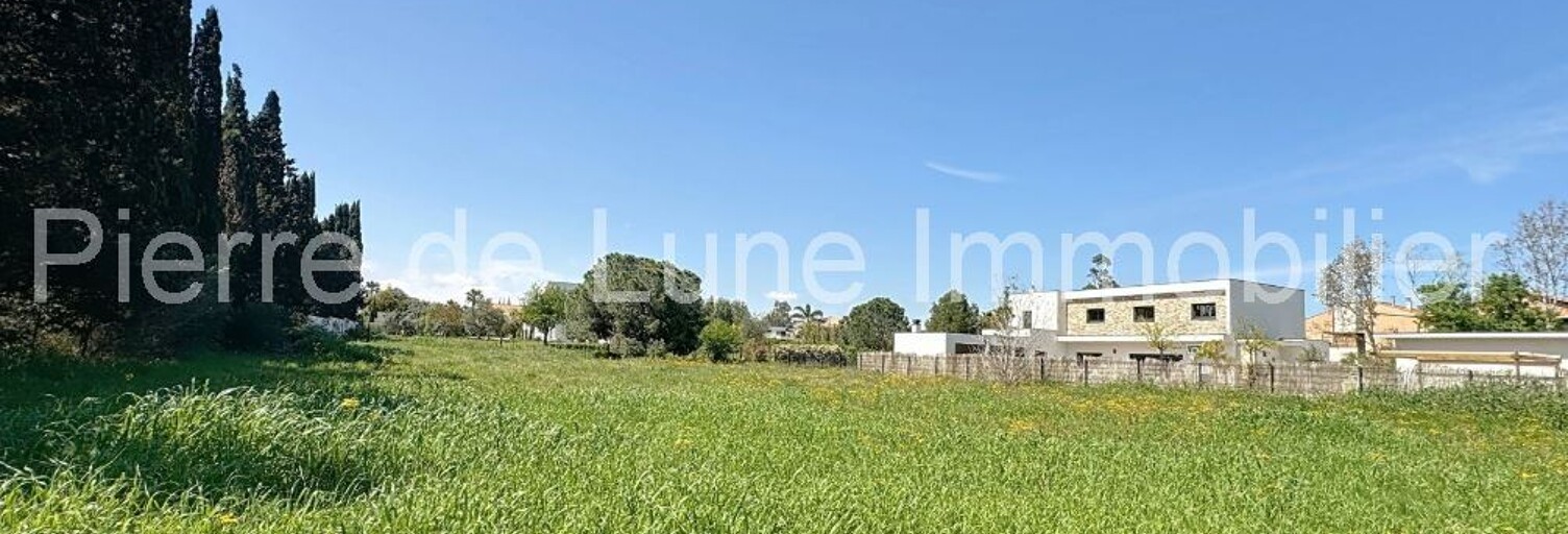 Terrain  2000 m² à vendre à Perpignan (66000)