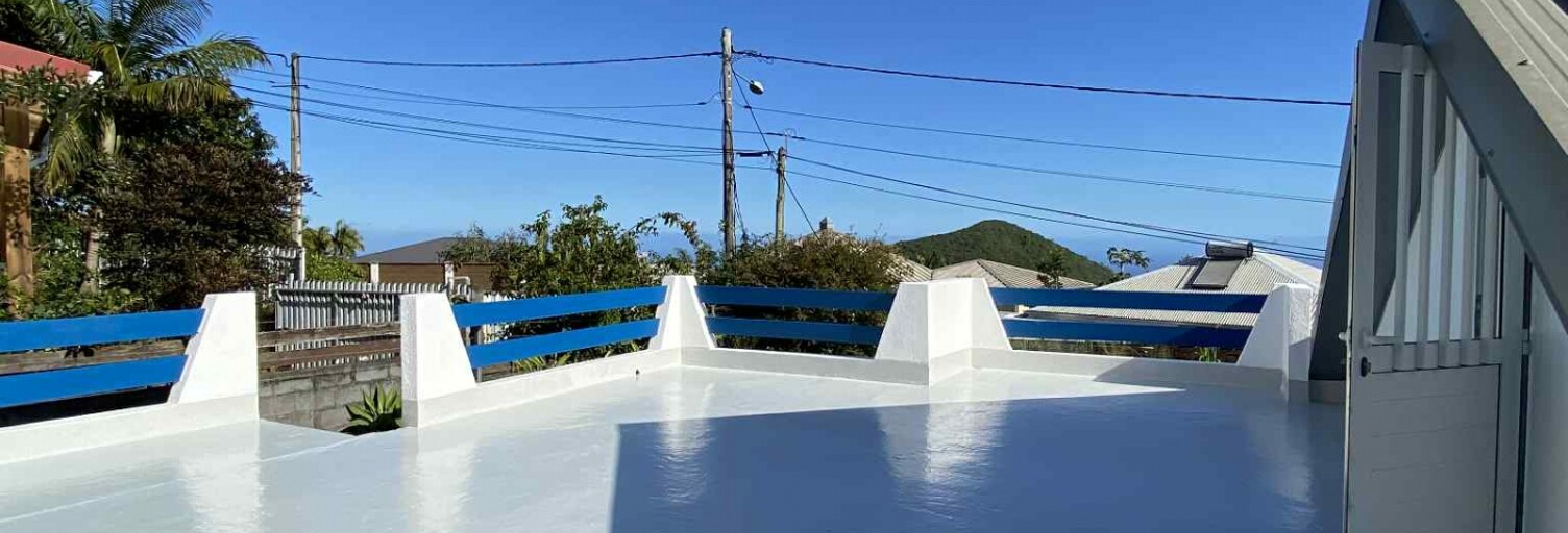 Maison 4 Pièces 100 m² à vendre à Saint-Pierre (97410)