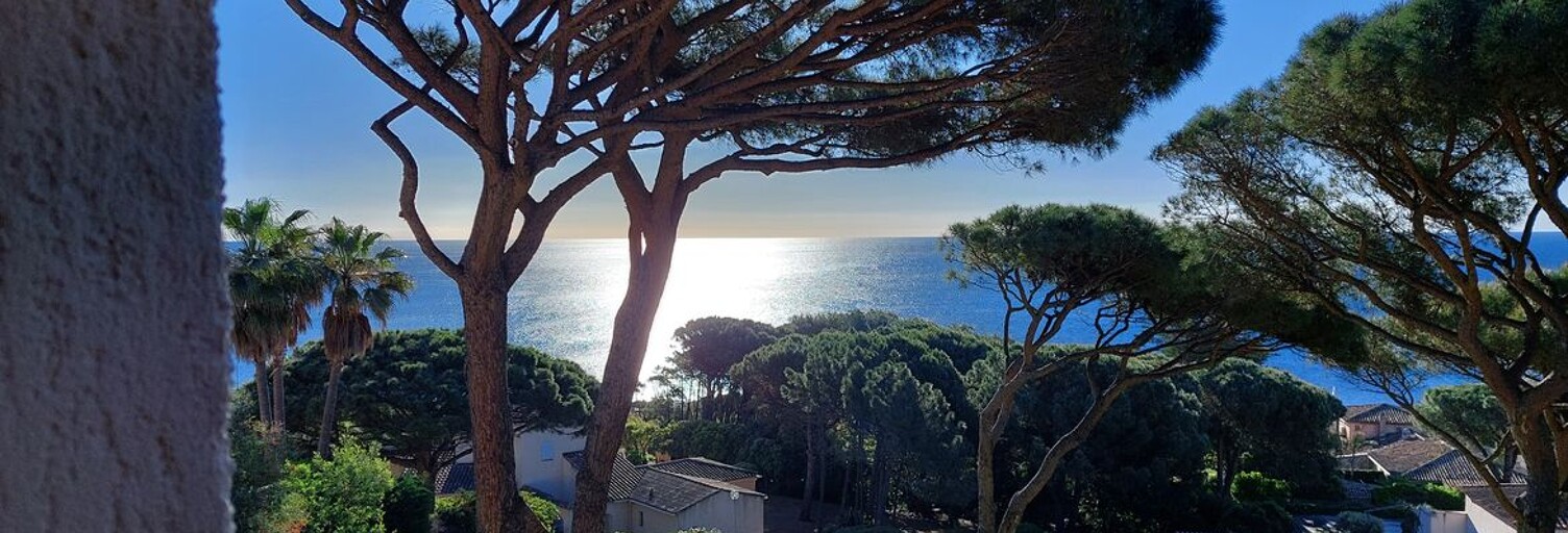 Appartement 2 Pièces 30 m² à vendre à Le Plan-de-la-Tour (83120)