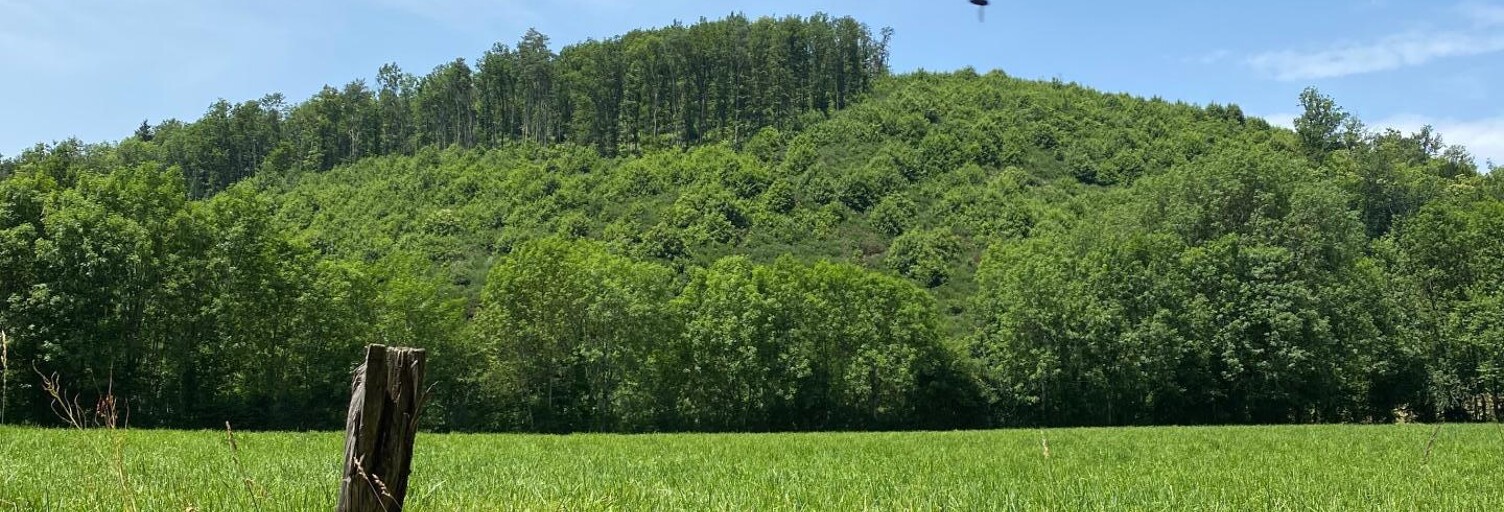 Terrain  71100 m² à vendre à Fontrieu (81260)