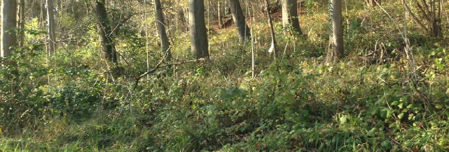 Terrain  1979 m² à vendre à Champagne-sur-Oise (95660)