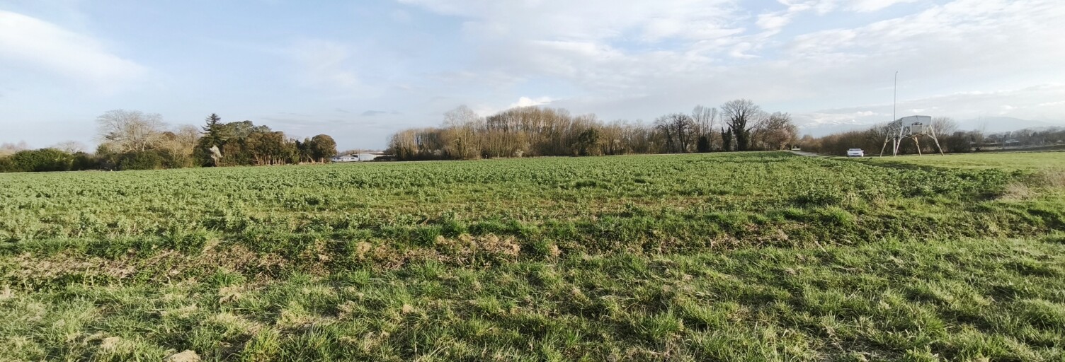 Terrain  9068 m² à vendre à Bordères-sur-l'Échez (65320)