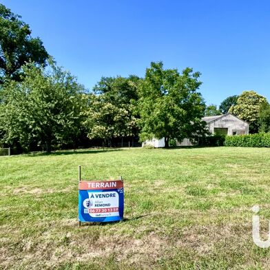 Terrain  61000 €
