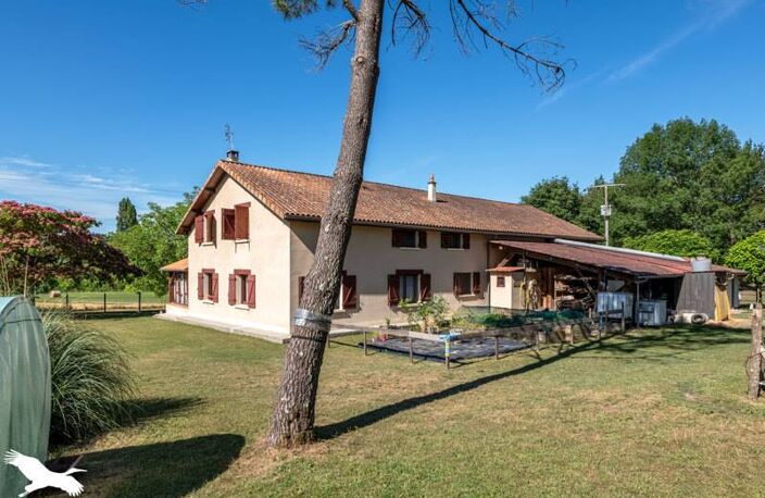 Traditionnelle de 9 pièces principales — photo 2