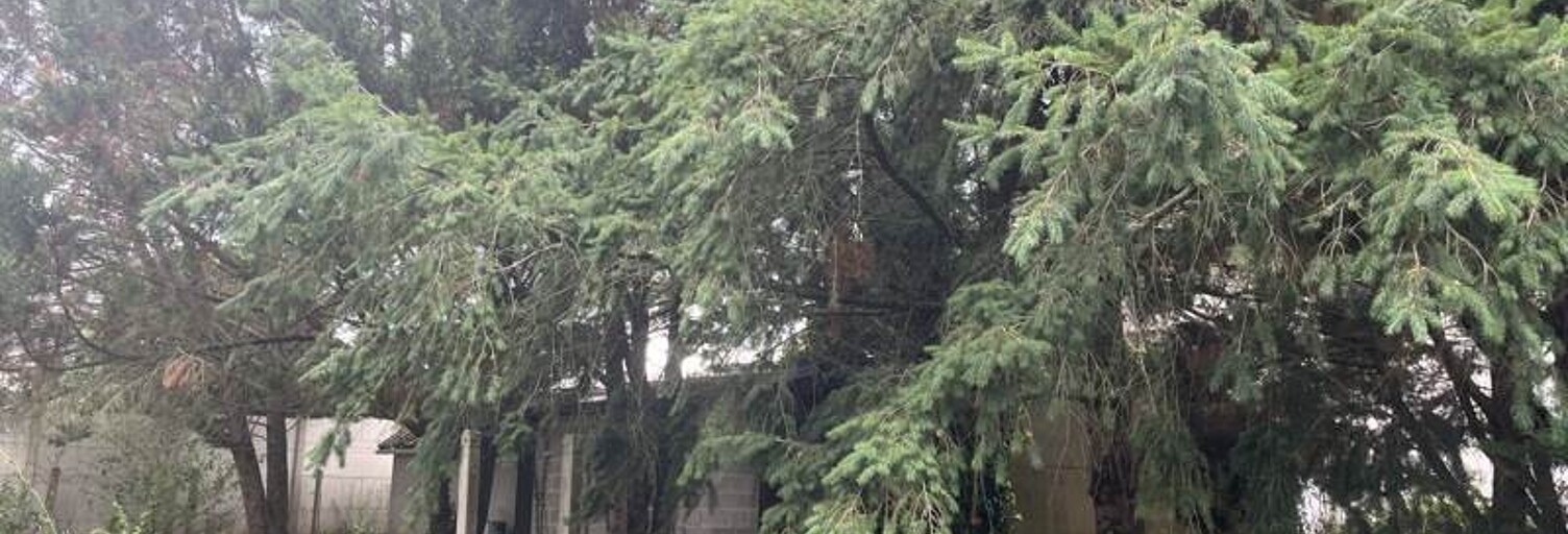 Terrain  338 m² à vendre à Romorantin-Lanthenay (41200)