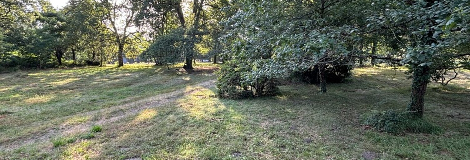 Terrain  7500 m² à vendre à Saint-Paul-lès-Dax (40990)