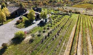 Maison 9 Pièces 273 m² à vendre à Alba-la-Romaine (07400)