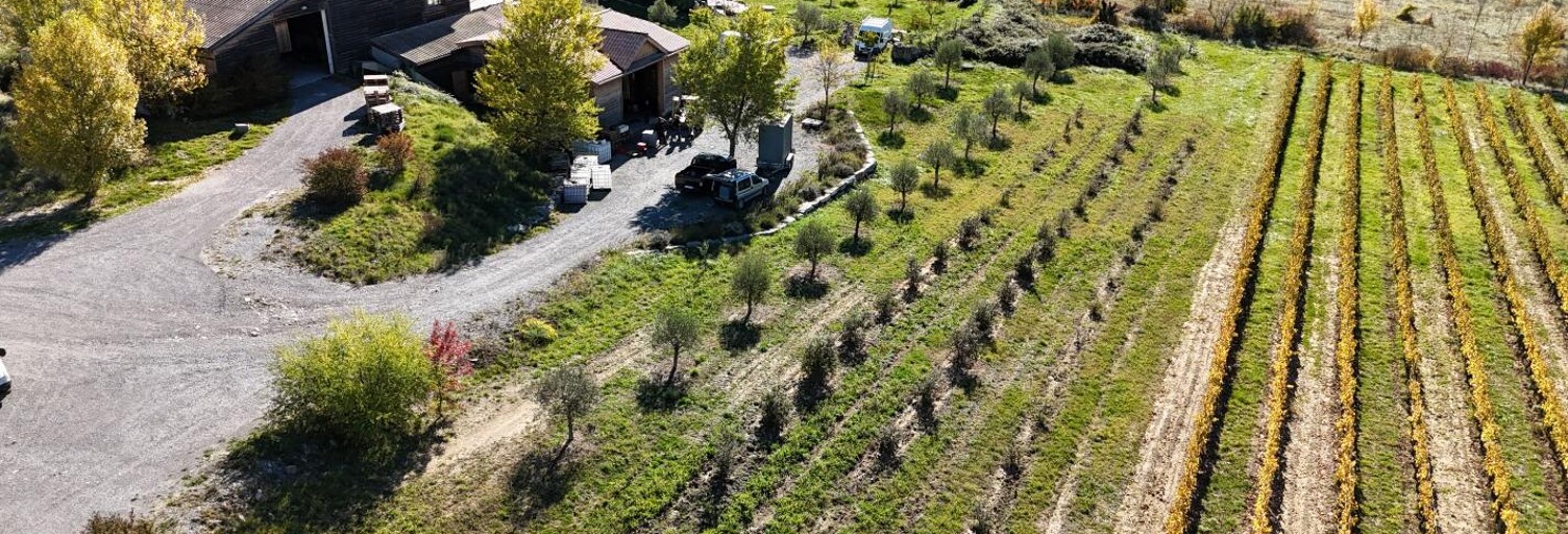 Maison 9 Pièces 273 m² à vendre à Alba-la-Romaine (07400)