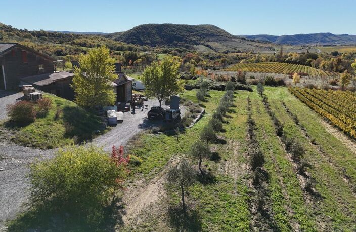 Propriété Agricole avec maison — photo 5