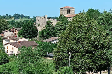 Terrain  29000 €