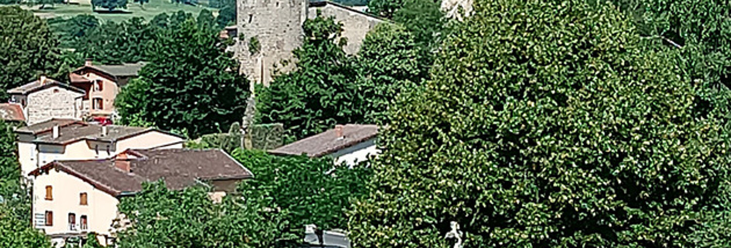 Terrain  4580 m² à vendre à Sauviat (63120)
