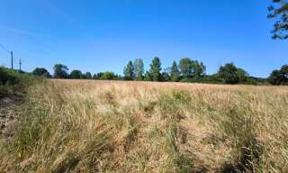 Terrain  12560 m² à vendre à Châtres-sur-Cher (41320)