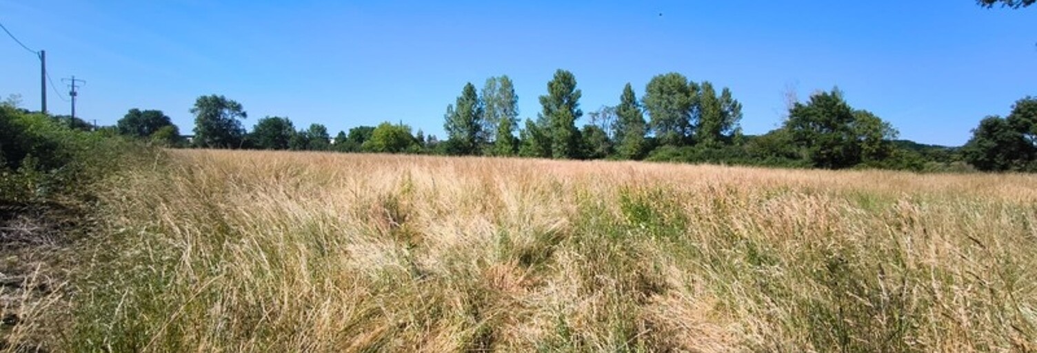 Terrain  12560 m² à vendre à Châtres-sur-Cher (41320)