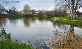 Maison 4 Pièces 90 m² à vendre à Cours-les-Barres (18320)