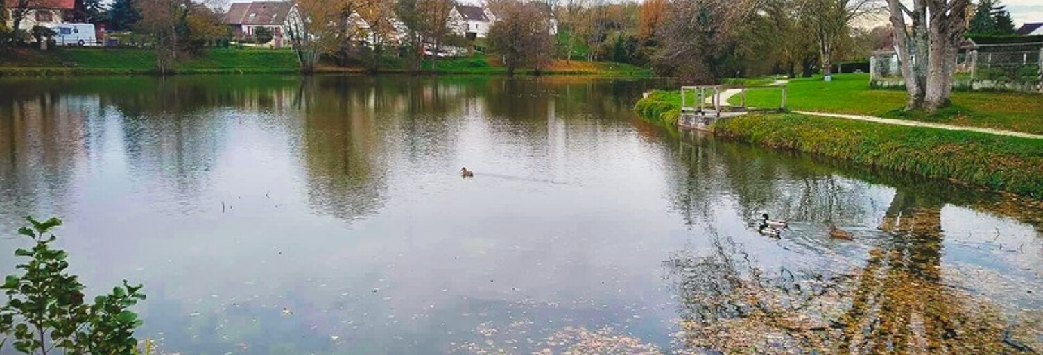 Maison 4 Pièces 90 m² à vendre à Cours-les-Barres (18320)