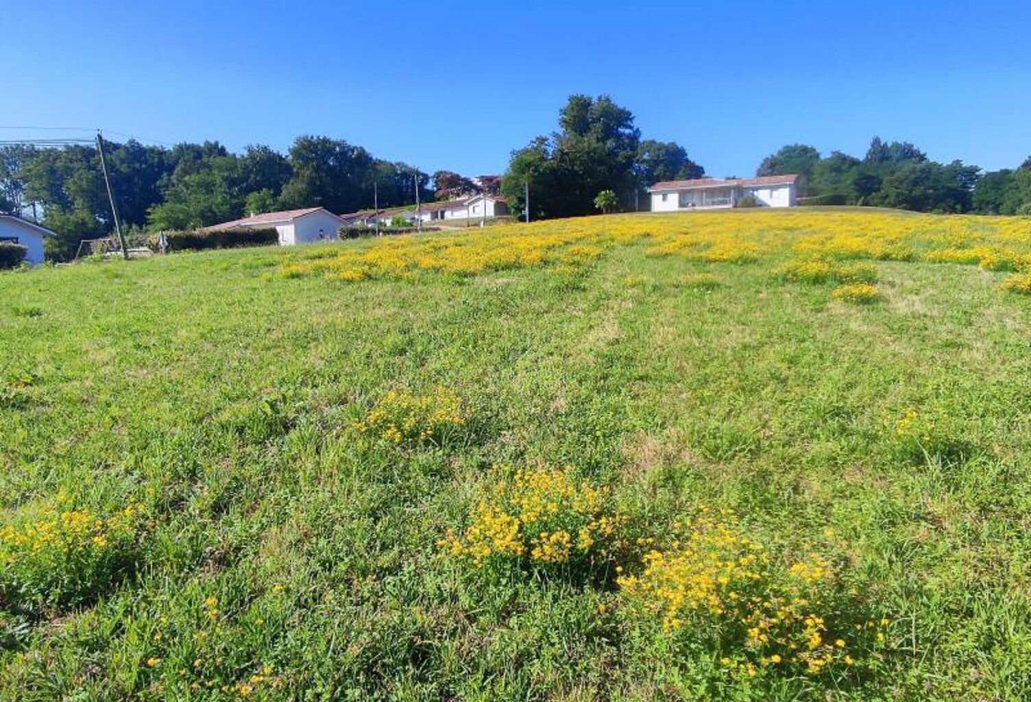 Terrain à Bâtir 1482 m² — photo 1