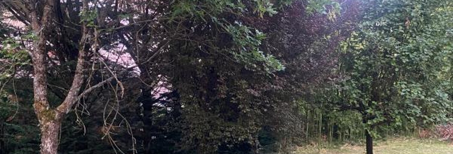 Terrain  453 m² à vendre à Grézieu-la-Varenne (69290)