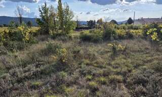 Terrain  2527 m² à vendre à Montfort-sur-Argens (83570)