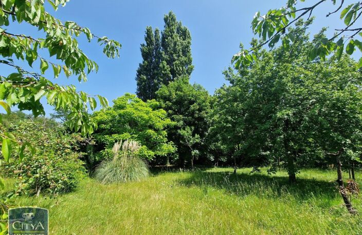 Vente maison 7 pièces 165 m² Saumur (49400) — photo 5