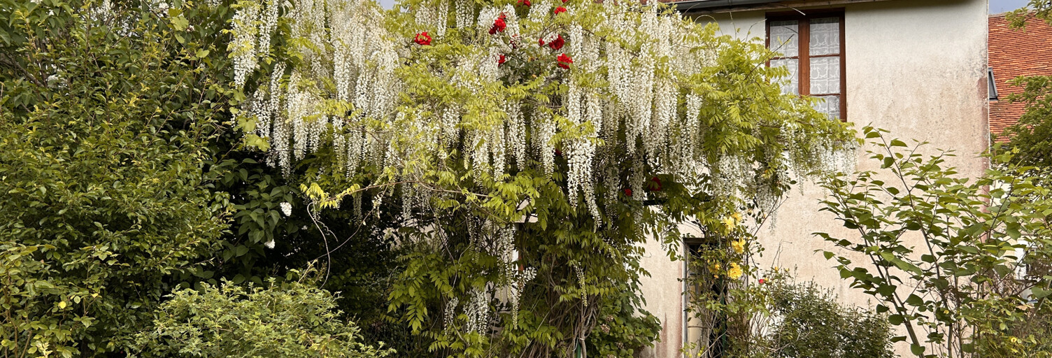 Maison 6 Pièces 115 m² à vendre à Saint-Gaultier (36800)