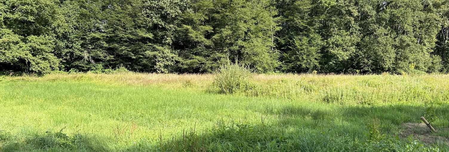 Terrain   m² à vendre à Badecon-le-Pin (36200)