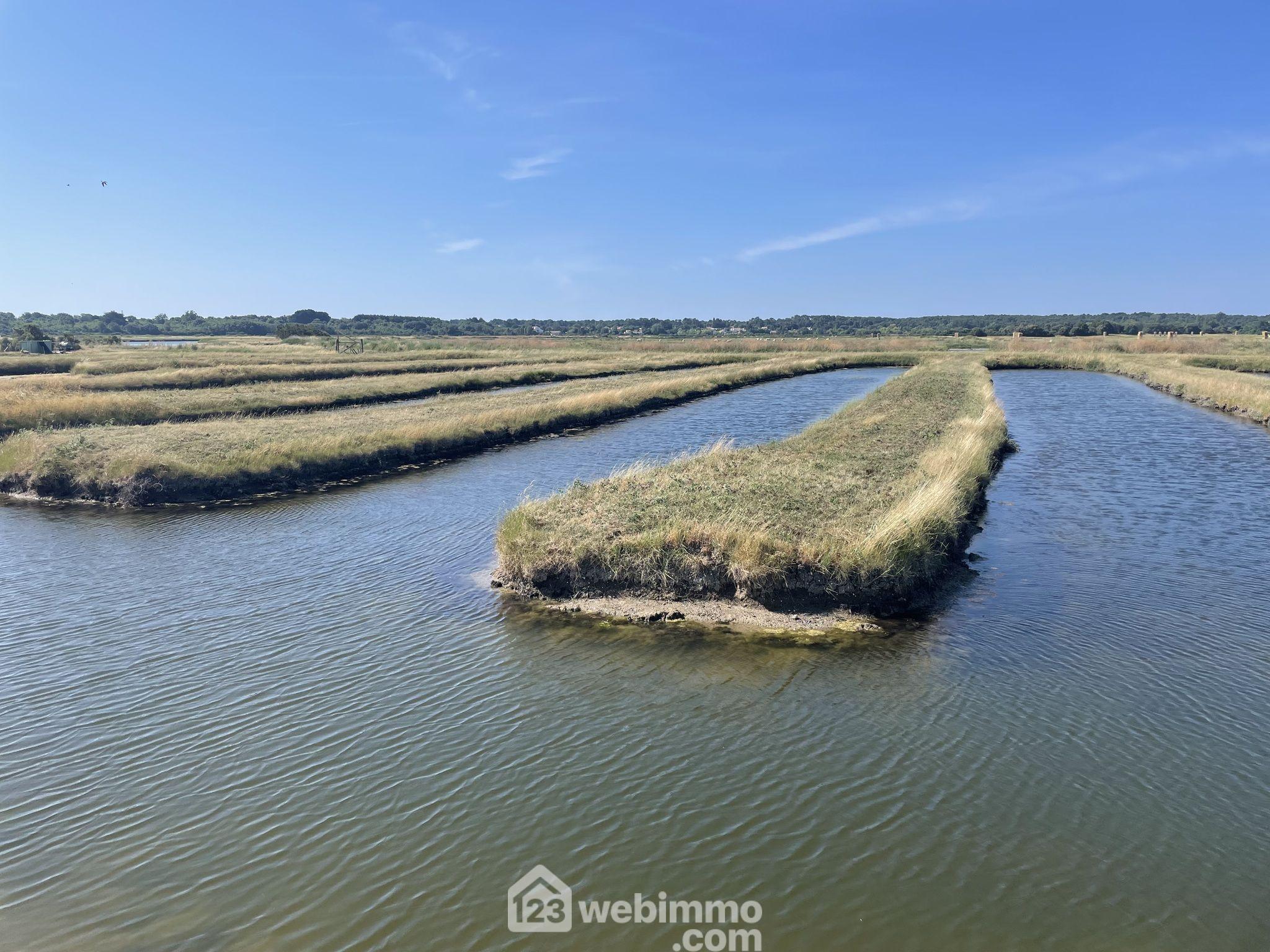 Terrain de loisirs - 0m² - Jard-sur-Mer