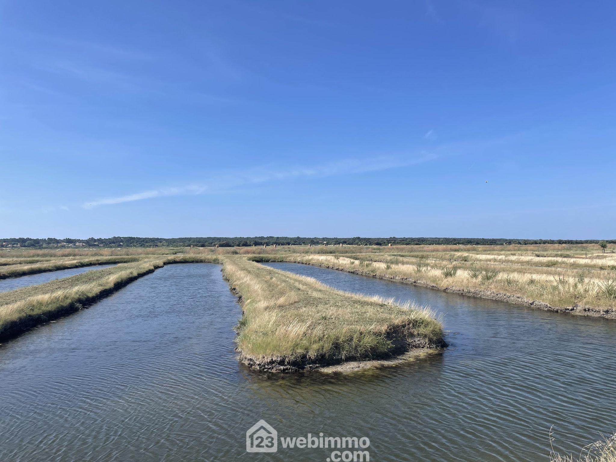 Photo Terrain de loisirs - 0m² - Jard-sur-Mer image 2/4