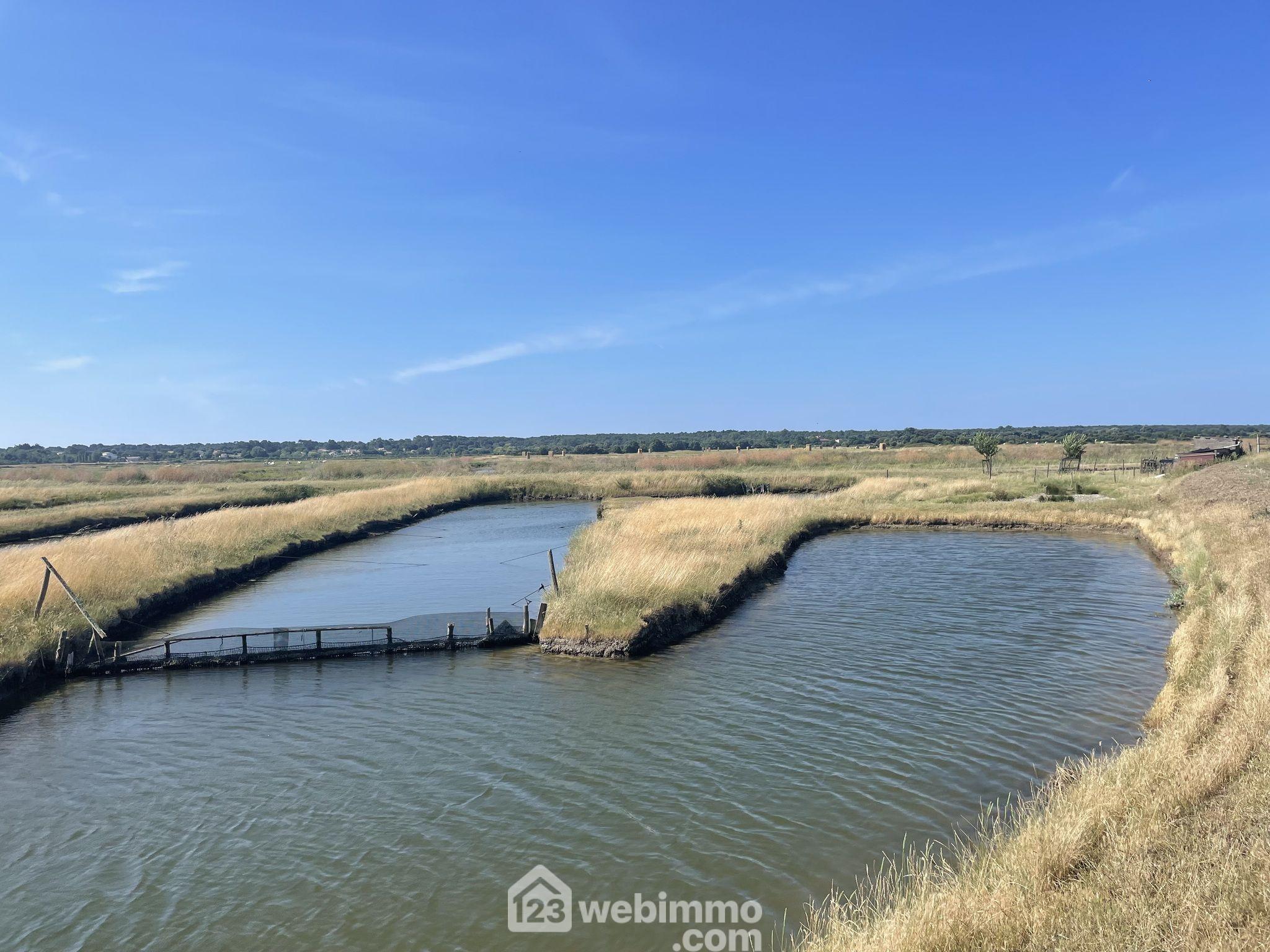 Photo Terrain de loisirs - 0m² - Jard-sur-Mer image 3/4
