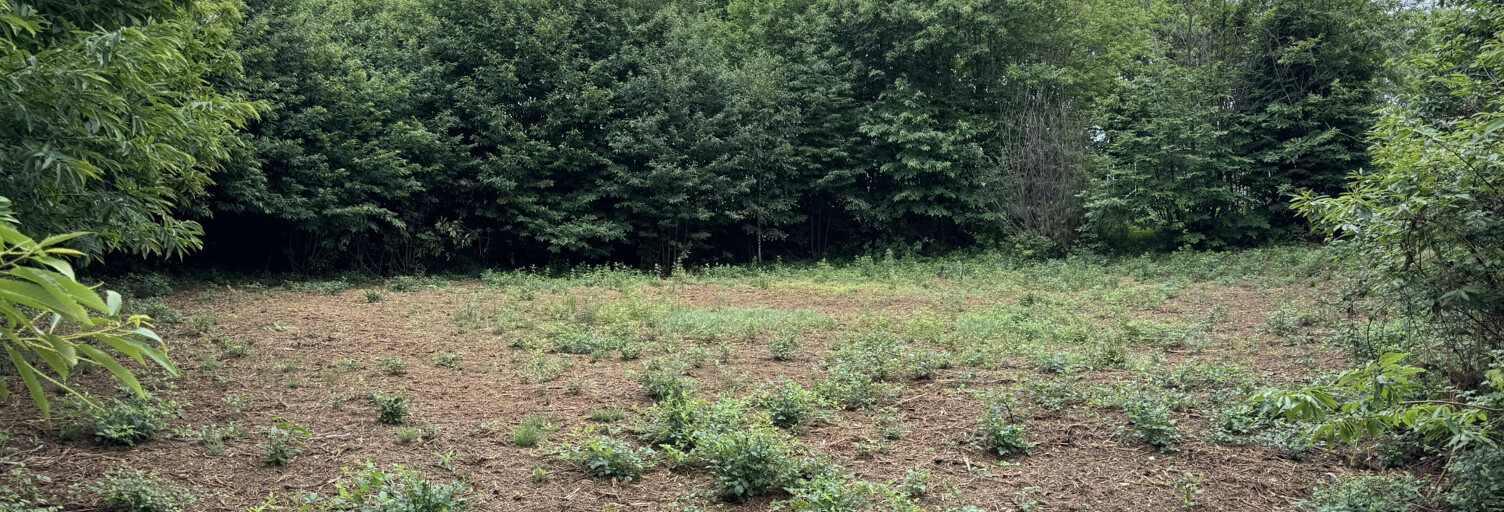 Terrain  2553 m² à vendre à La Chapelle-Aubareil (24290)