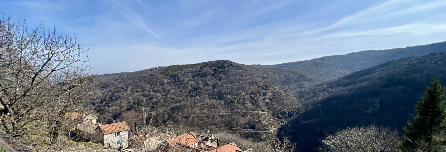 Maison 4 Pièces 79 m² à vendre à Vialas (48220)