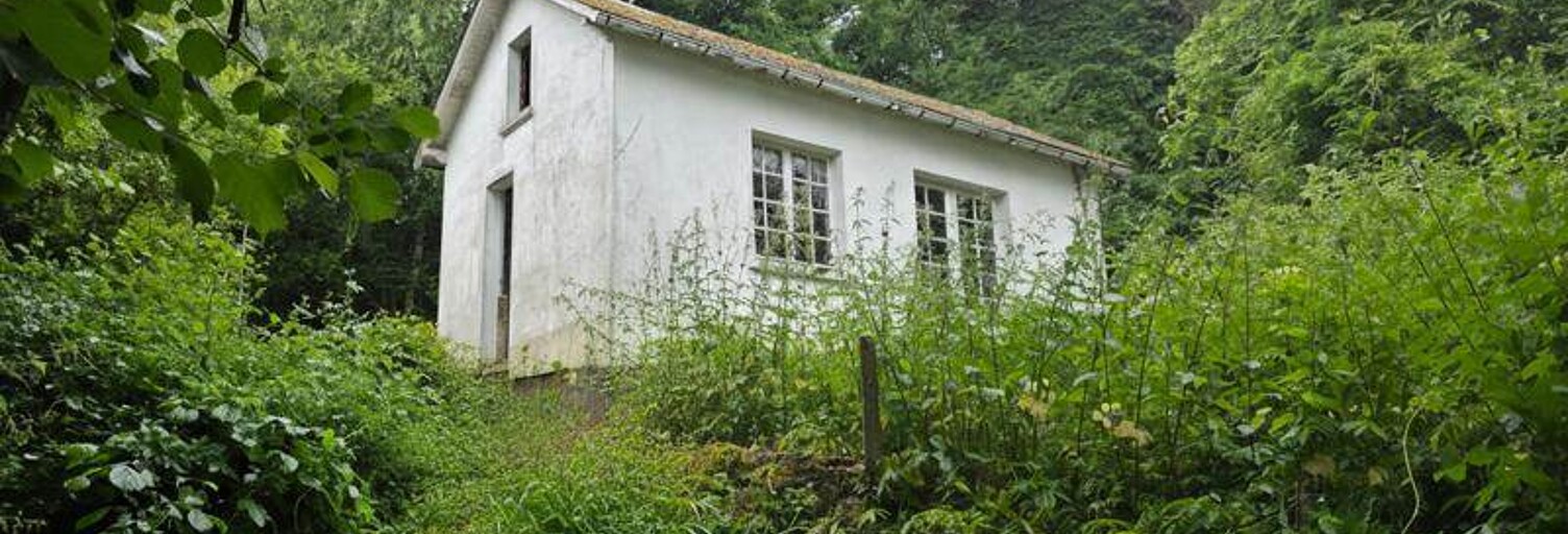 Maison 1 Pièce 23 m² à vendre à La Châtre (36400)