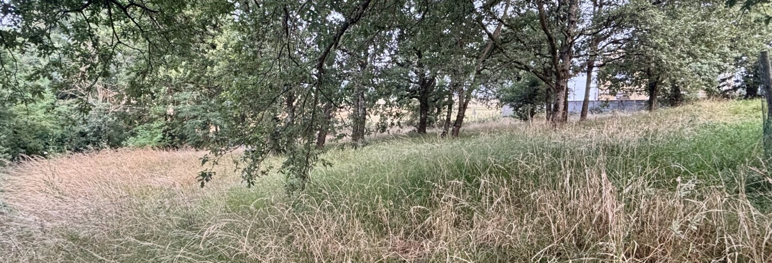 Terrain  1317 m² à vendre à Le Grès (31480)