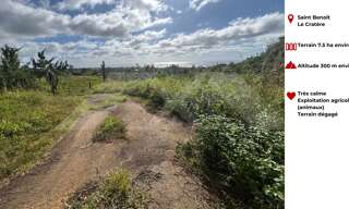 Terrain  75050 m² à vendre à Saint-Benoît (97470)