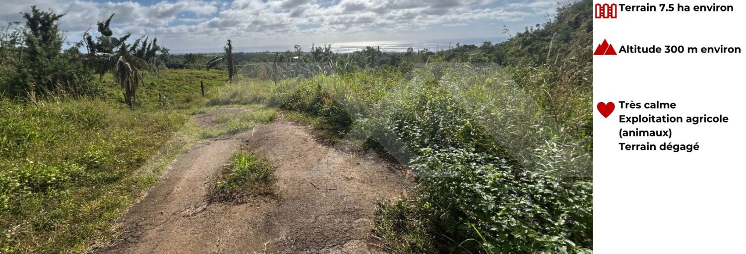 Terrain  75050 m² à vendre à Saint-Benoît (97470)