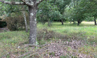 Terrain  503 m² à vendre à Maureillas-las-Illas (66480)