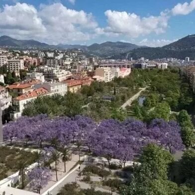 Appartement 3 pièces 220000 €