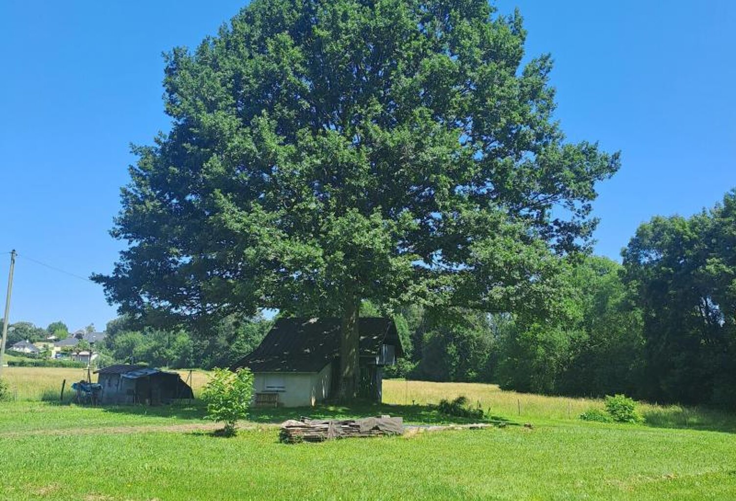 Opportunité Unique : Votre Domaine Privé face aux Pyrénées ! — photo 1
