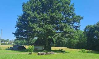 Maison 11 Pièces 230 m² à vendre à Asson (64800)