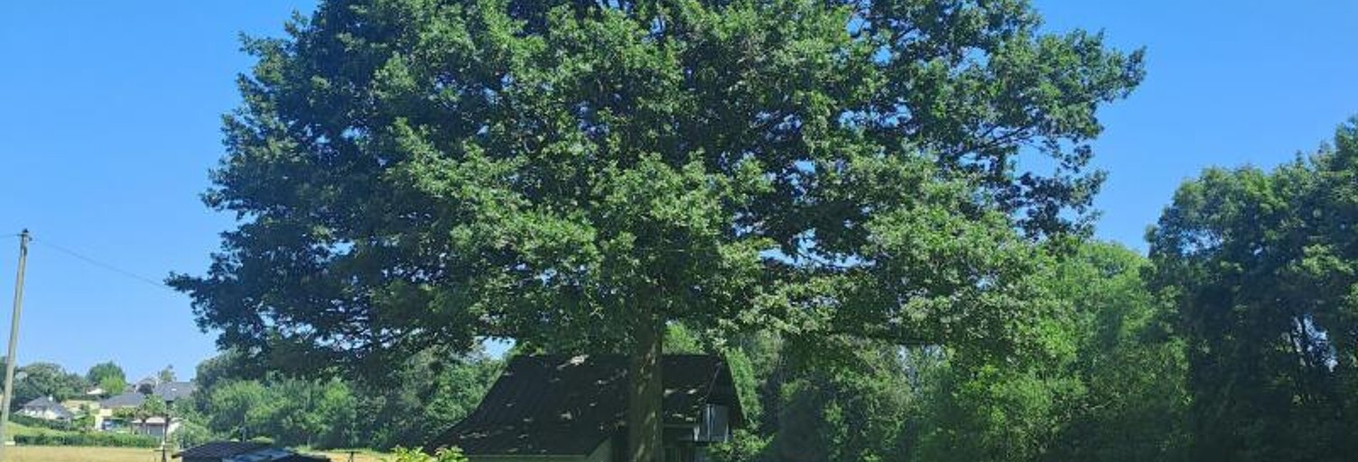 Maison 11 Pièces 230 m² à vendre à Asson (64800)