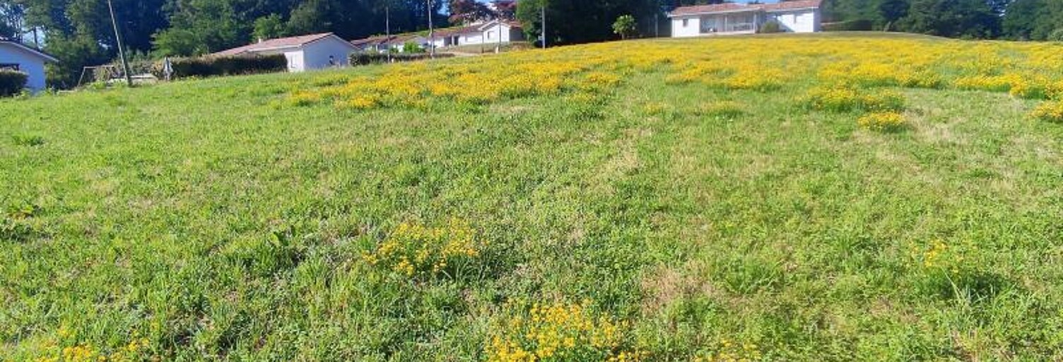 Terrain  1484 m² à vendre à Hagetmau (40700)