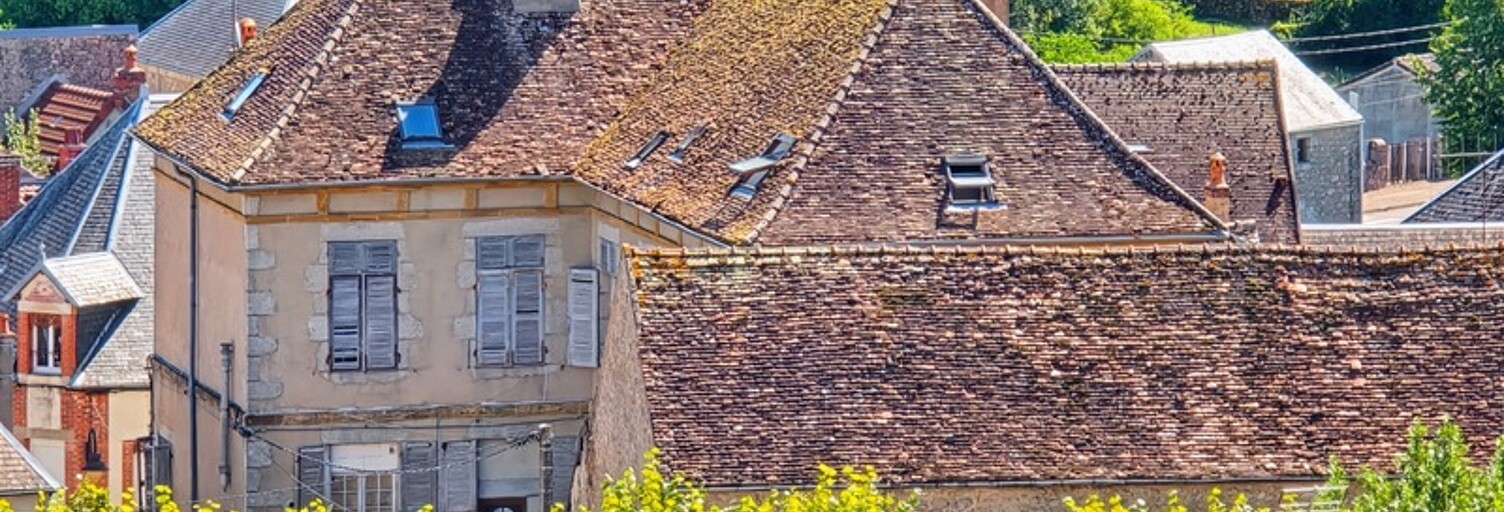 Maison 25 Pièces 780 m² à vendre à Lormes (58140)