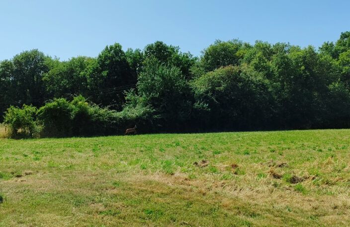 A SAISIR, 10 MN DE LALINDE BELLE PROPRIETE EN PIERRE SITUÉE SUR UN PLATEAU VERDOYANT DE 15 000 M², COMPOSÉE D'UNE PÉRIGOURDINE DE 110 M² SH, 3 CHAMBRES + UNE DEPENDANCE DE 89 M² POUVANT SERVIR DE MAISON D'AMIS + UN LOGEMENT T3 DE 84 M² AVEC TERRASSE, UN GRAND GARAGE IDEAL POUR CAMPING-CAR + PISCINE.                                                                   — photo 3