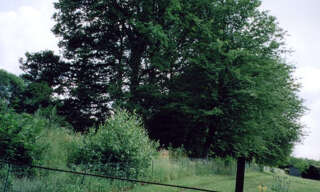 Terrain  2005 m² à vendre à Crépy-en-Valois (60800)