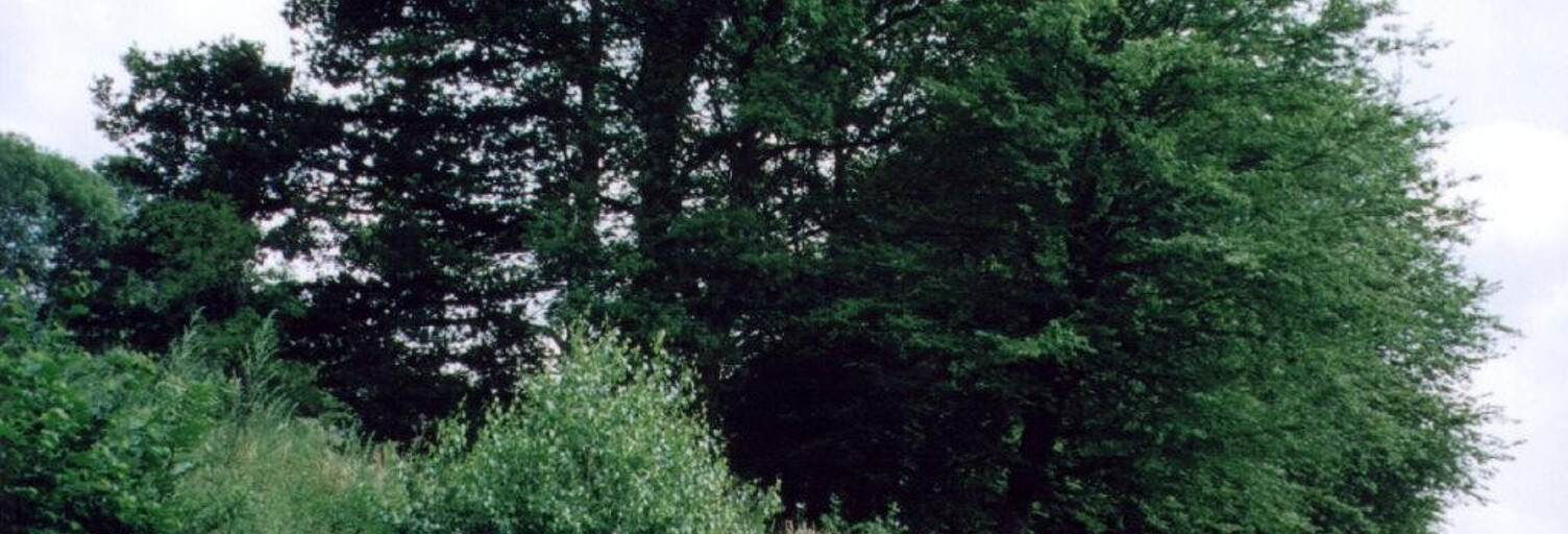 Terrain  2005 m² à vendre à Crépy-en-Valois (60800)