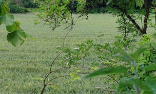 Terrain  1368 m² à vendre à Villers-Cotterêts (02600)