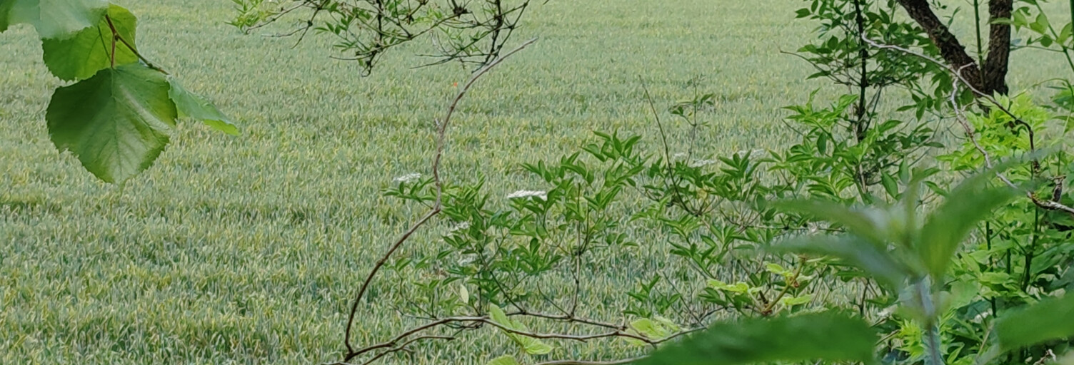 Terrain  1368 m² à vendre à Villers-Cotterêts (02600)