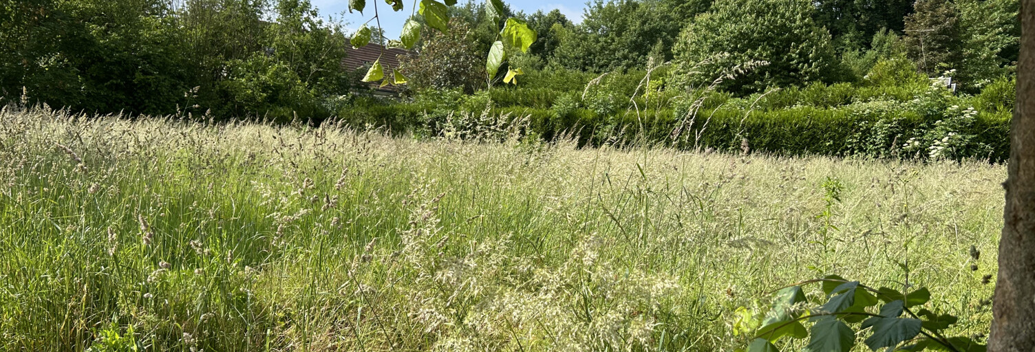 Terrain  812 m² à vendre à Villers-Cotterêts (02600)